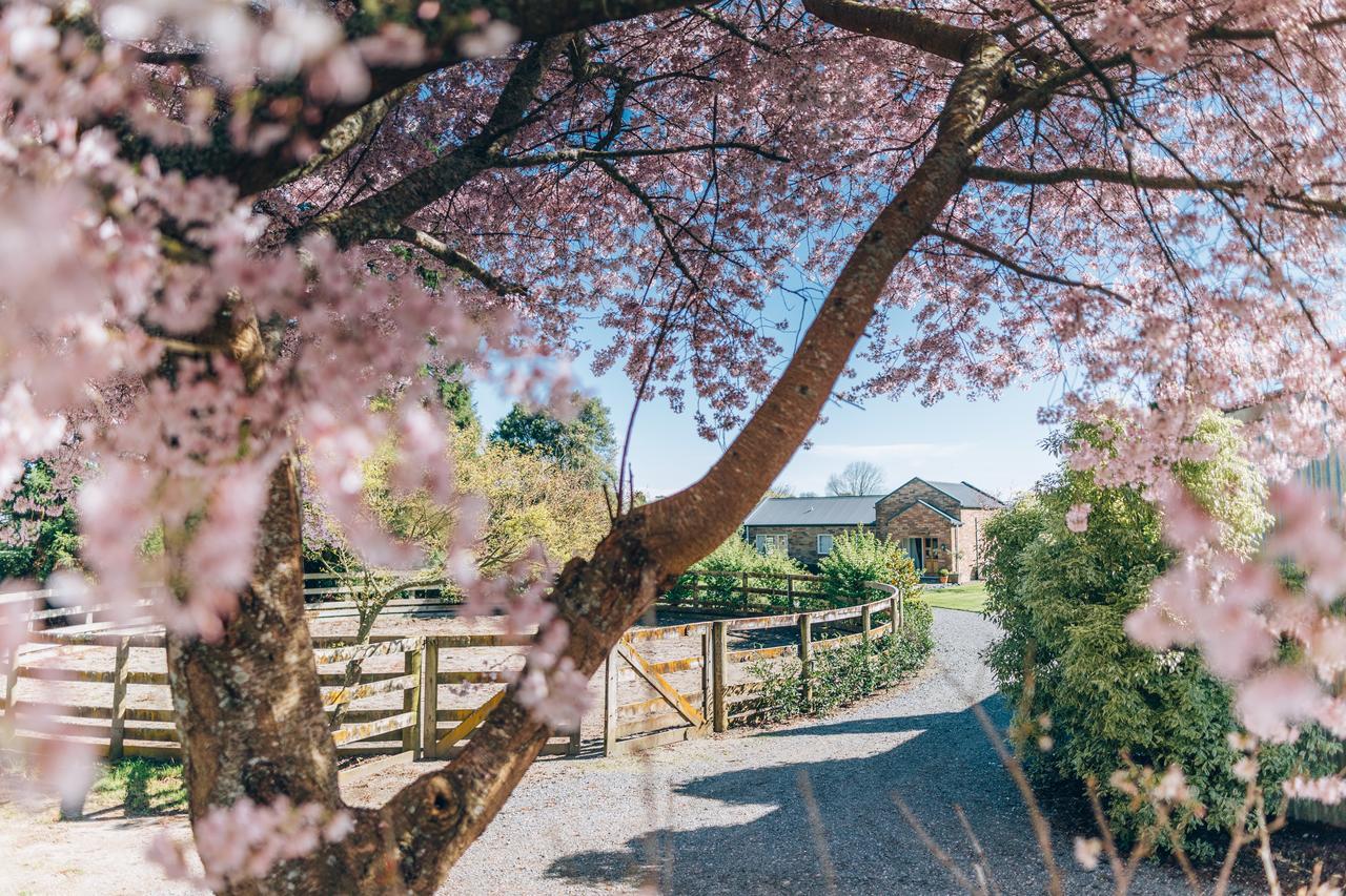 Lexington Park Cottages Cambridge Luaran gambar