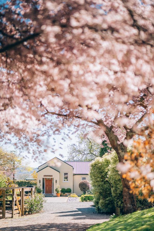 Lexington Park Cottages Cambridge Luaran gambar